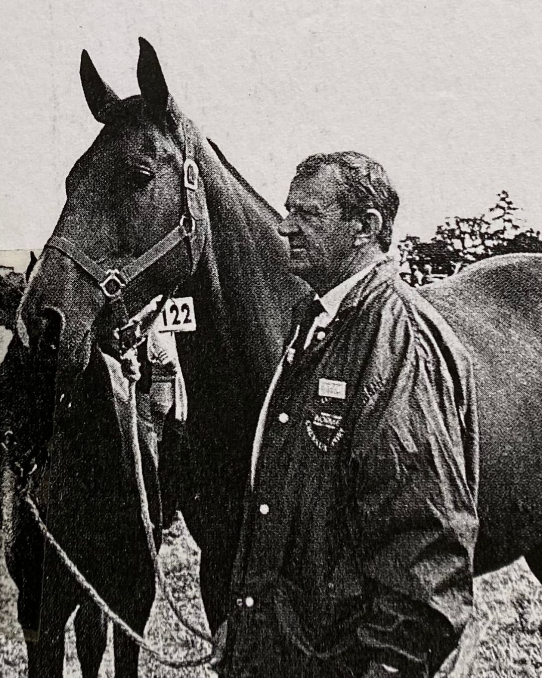 Photo d'archive, présentation d'un étalon Selle Français en concours
