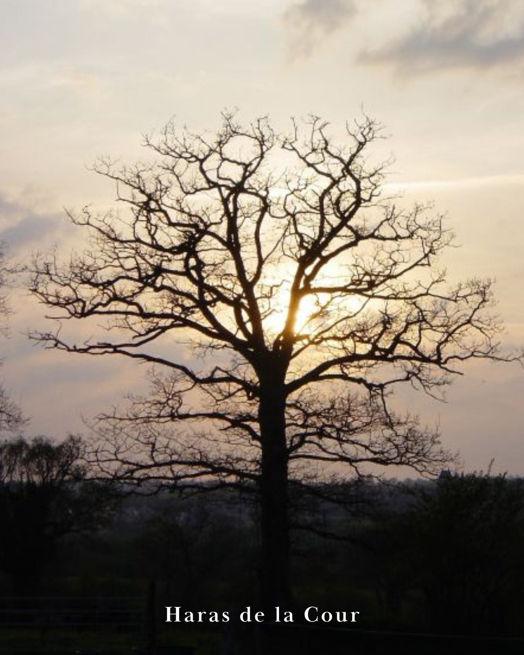 Coucher de soleil sur le bocage normand