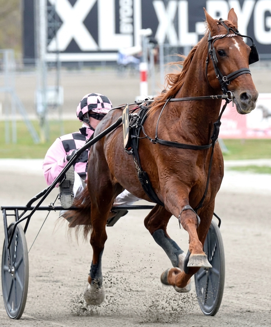 Uzo Josselyn en course